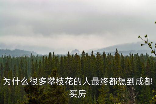 為什么很多攀枝花的人最終都想到成都買房