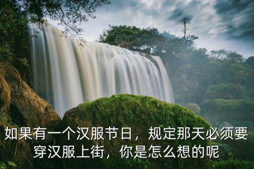 如果有一個漢服節日，規定那天必須要穿漢服上街，你是怎么想的呢