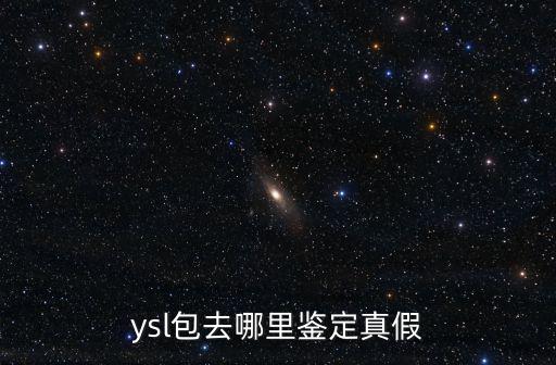 成都哪里可以鑒定包包真假的地方,ysl包去哪里鑒定真假