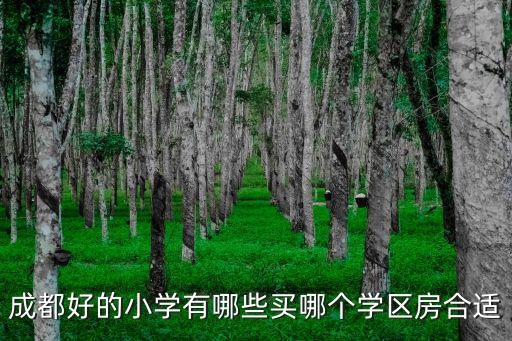 成都哪里的學區房好,成都好的小學有哪些