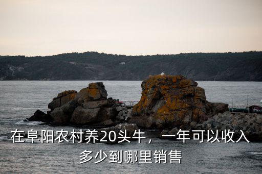 阜陽農民每月收入多少,一年可以收入多少