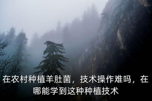 在農村種植羊肚菌，技術操作難嗎，在哪能學到這種種植技術