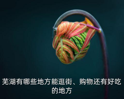 蕪湖有多少本地人,在蕪湖多少工資才能養(yǎng)活自己