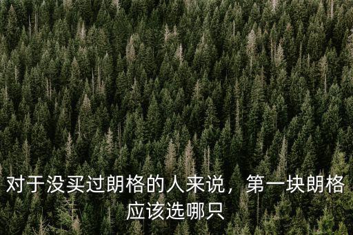 對于沒買過朗格的人來說，第一塊朗格應該選哪只