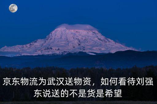 怎么去武漢送物資,京東物流為武漢送物資