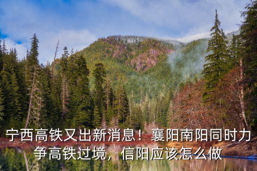 人在襄陽回南陽怎么走,滬康高鐵走襄陽還是南陽