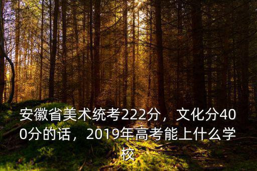 安徽省美術聯考多少分過,安徽美術統考成績272分