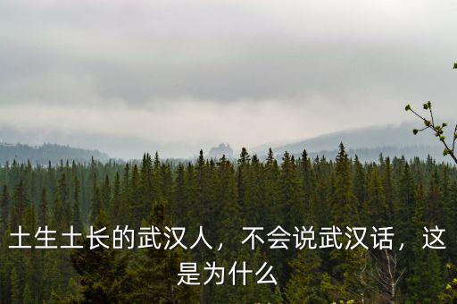 土生土長的武漢人，不會說武漢話，這是為什么