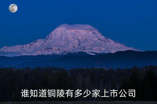 銅陵有色有多少家分廠,誰知道銅陵有多少家上市公司