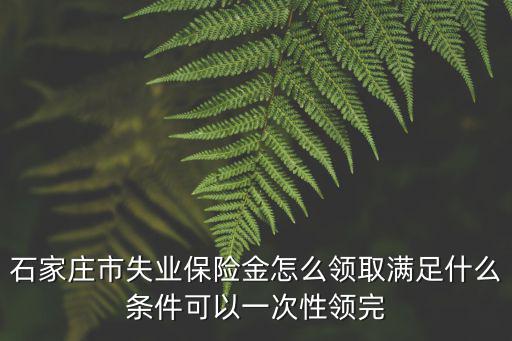 石家莊失業(yè)保險(xiǎn)每月可以領(lǐng)取多少,石家莊市失業(yè)保險(xiǎn)金怎么領(lǐng)取