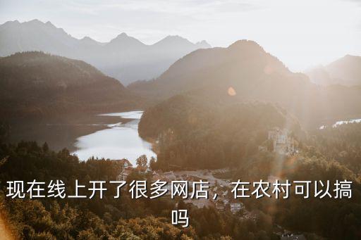現在線上開了很多網店，在農村可以搞嗎