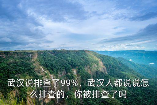 武漢人怎么說話呢,武漢人都說說怎么排查的