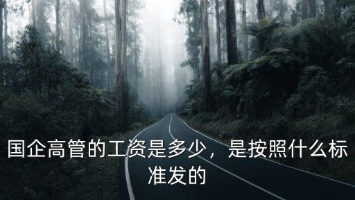 國企高管的工資是多少，是按照什么標準發的