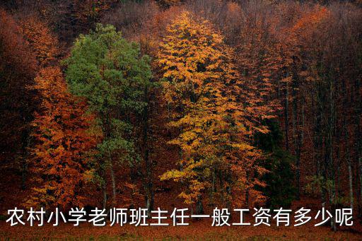 廊坊市農(nóng)村小學(xué)教師工資多少,初中教師一個月工資有多少錢