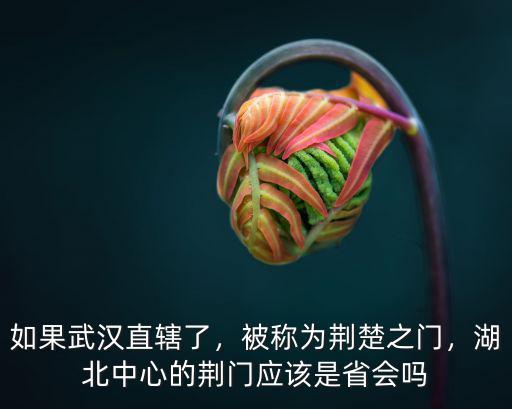 武漢直轄了湖北怎么辦,如果武漢直轄了