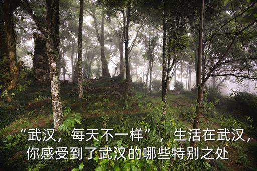 “武漢，每天不一樣”，生活在武漢，你感受到了武漢的哪些特別之處
