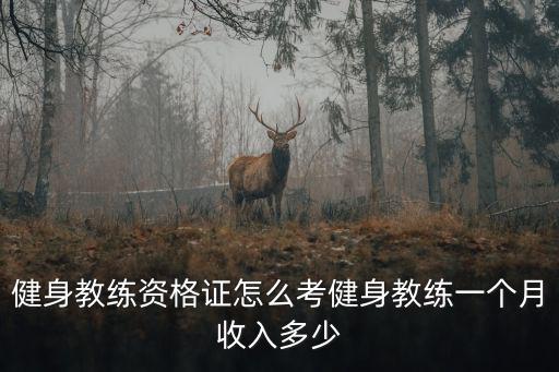 合肥教練證多少錢一個月多少錢一個月,駕照教練一個月可以賺多少錢
