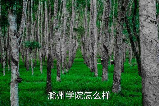 滁州學院有多少人,滁州學院怎么樣