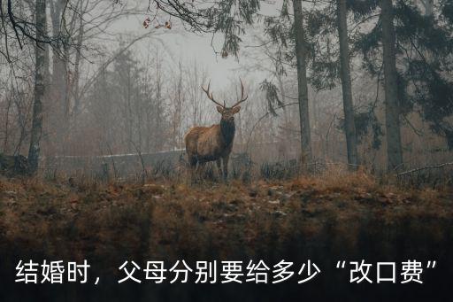 唐山改口費父母分別給多少,父母分別要給多少改口費