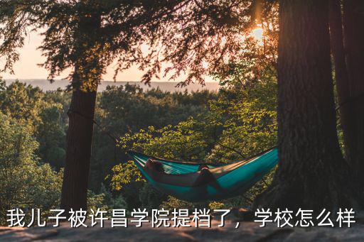 許昌學院考多少分能上,我兒子被許昌學院提檔了