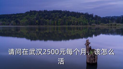 請問在武漢2500元每個月，該怎么活