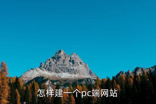 巴中pc網站建設哪里好,哪里網站制作好