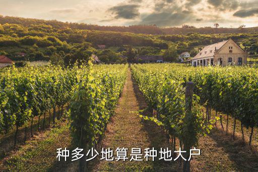 種多少地算是種地大戶