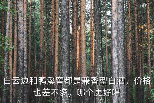 白云邊和鴨溪窖都是兼香型白酒，價格也差不多，哪個更好喝