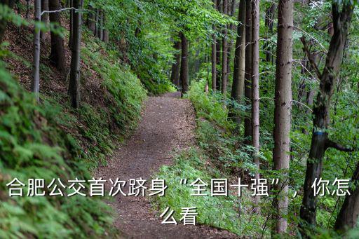 合肥定制公交刷卡多少錢,合肥定制公交為何叫好不叫座