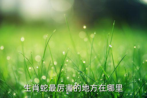 生肖蛇最厲害的地方在哪里