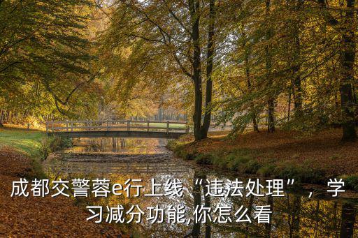 成都學習減分在哪里,學習減分功能