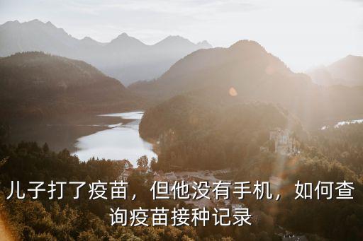 武漢打了疫苗怎么查記錄,兒子打了疫苗