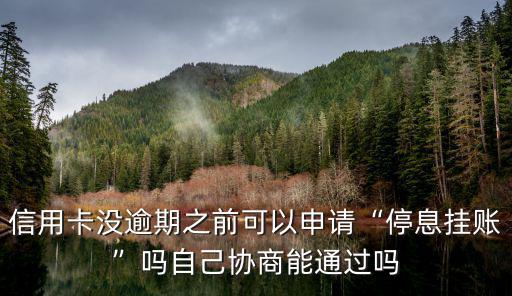 鄂州信用卡逾期怎么申請停息掛賬,怎么申請掛賬停息