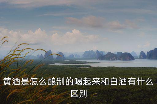湖北十堰的伏黃酒怎么喝,紹興黃酒應該怎么喝