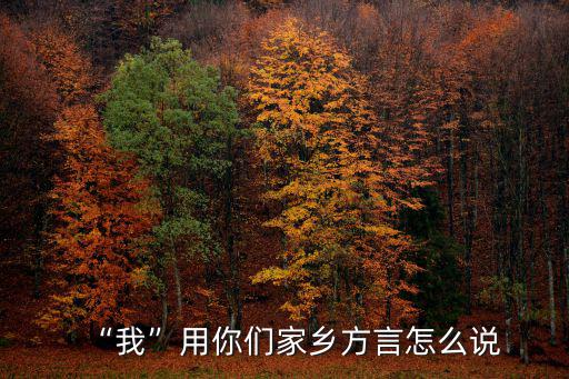 “我”用你們家鄉(xiāng)方言怎么說