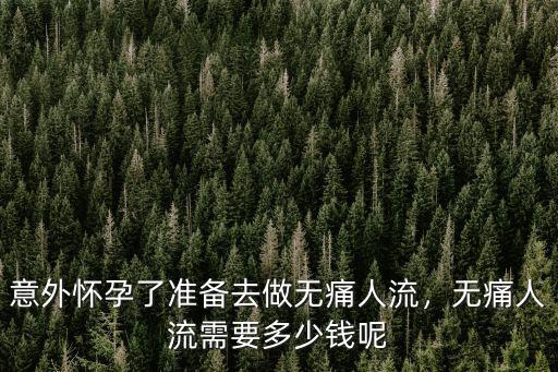 無痛人流多少錢亳州市,無痛人流需要多少錢呢