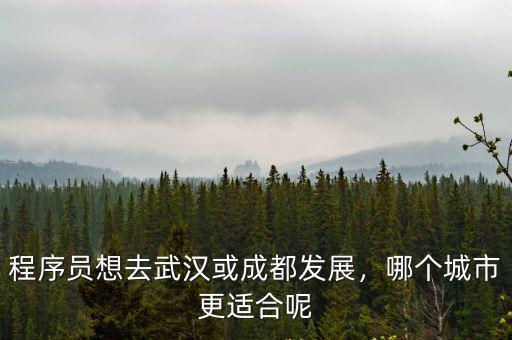 成都跟武漢哪里好玩,武漢與成都相比