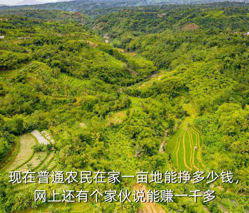 現在普通農民在家一畝地能掙多少錢，網上還有個家伙說能賺一千多