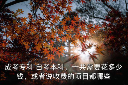 成考專科 自考本科，一共需要花多少錢，或者說(shuō)收費(fèi)的項(xiàng)目都哪些