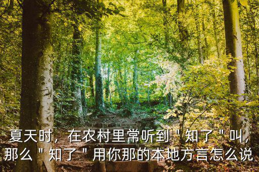 安陽話知了怎么說,知了猴用你的家鄉(xiāng)話怎么說