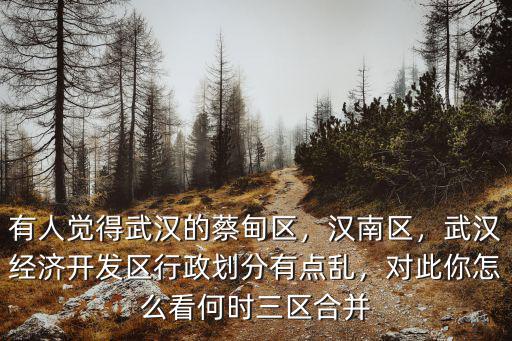 武漢洪湖經濟怎么樣,湖北洪湖現在發展的怎么樣了