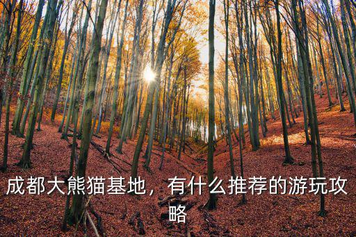 成都繁育基地熊貓釣貓在哪里,成都的大熊貓基地在哪里