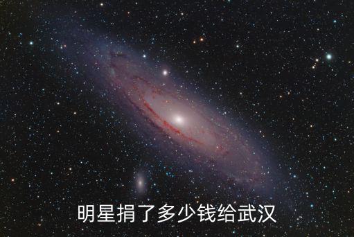 明星捐了多少錢給武漢