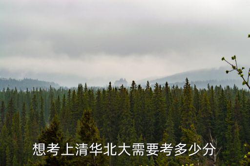 想考上清華北大需要考多少分