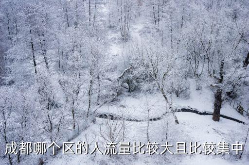 成都哪個(gè)區(qū)的人流量比較大且比較集中