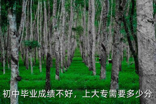 初中畢業能上亳州大專要多少分,上大專需要多少分