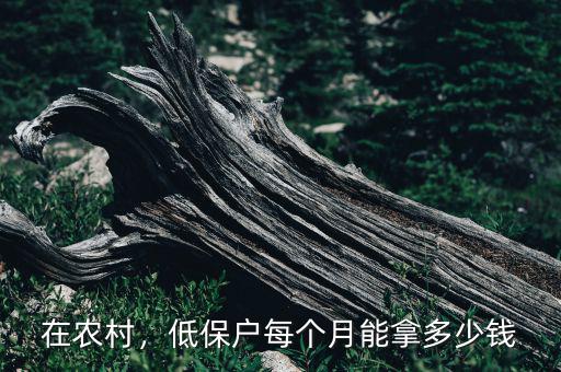 六安農村低保多少錢一個月,低保戶每個月能拿多少錢