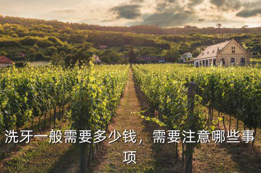 洗牙一般需要多少錢，需要注意哪些事項