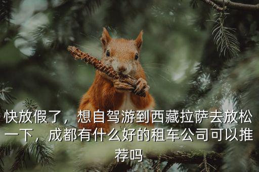 快放假了，想自駕游到西藏拉薩去放松一下，成都有什么好的租車公司可以推薦嗎
