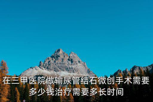 在三甲醫(yī)院做輸尿管結(jié)石微創(chuàng)手術(shù)需要多少錢治療需要多長(zhǎng)時(shí)間